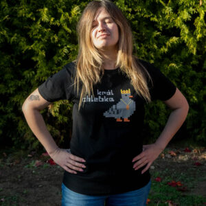 Koszulka z pikselowym gołębiem - król chlebka